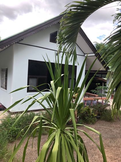 อื่นๆ ไม่มี 2020 บ้านและที่ดิน รูปที่ 4