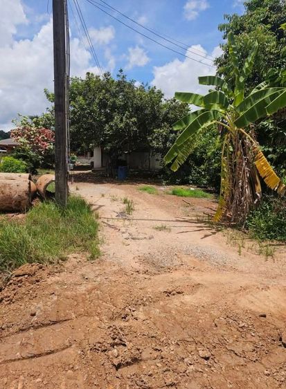 ขายที่ดินพร้อมบ้าน รูปที่ 3