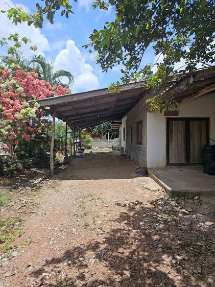 ขายที่ดินพร้อมบ้าน รูปที่ 2