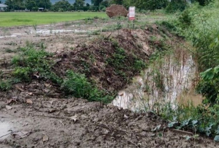 ขายที่นายกแปลงสวย ดอยงาม อ.พาน จ.เชียงราย รูปที่ 5