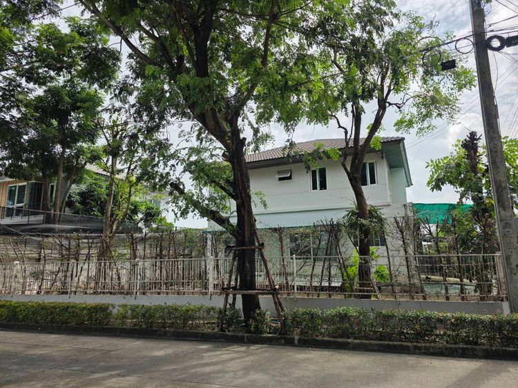 Land and Houses มีบางส่วน 2016 ไม่ใช่ ขายบ้านเดี่ยวอารมณ์รีสอร์ทรามอินทรา เป็นออฟฟิศสำนักงานได้มีห้องประชุม  รูปที่ 2