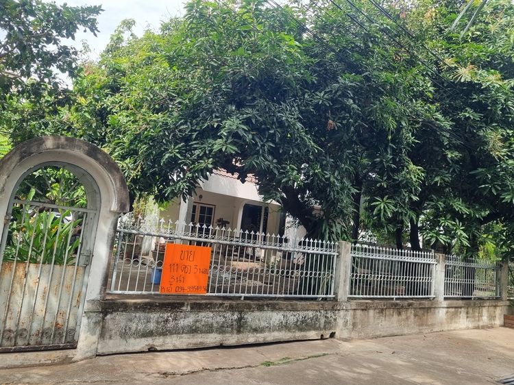 ไม่มี ขายบ้านเดี่ยวหลังมุม 2 ชั้น ขนาด 111 ตรว. ติดถนนพหลโยธิน ขายตามสภาพ แขวงอนุสาวรีย์ กรุงเทพฯ รูปที่ 2