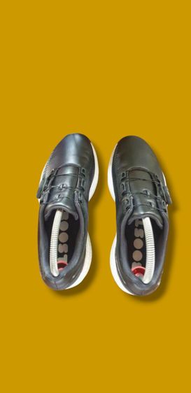 Adidas golf  รูปที่ 3