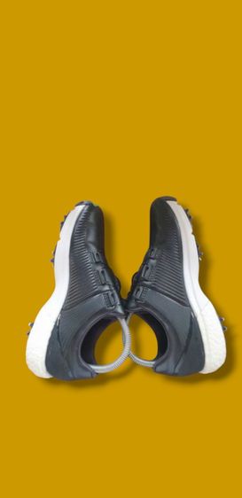 Adidas golf  รูปที่ 5