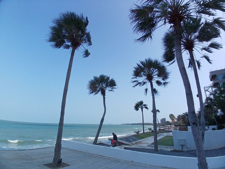 อื่นๆ ไม่อนุญาต มีบางส่วน สร้างเสร็จก่อน 2010 คอนโดพักตากกาศ รูปที่ 2