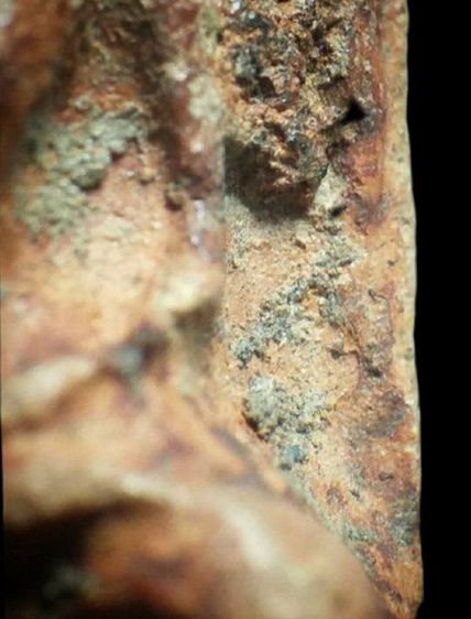 พระรอด มหาวัน. รูปที่ 15