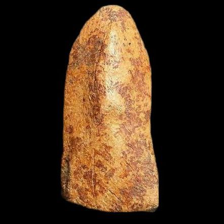 พระรอด มหาวัน. รูปที่ 3