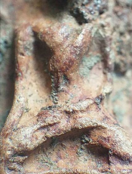 พระรอด มหาวัน. รูปที่ 11