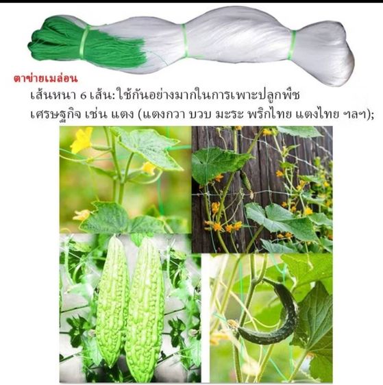 ตาข่ายปลูกผัก 2X100m โครงไม้เลื้อย อุปกรณ์ทำสวน ตาข่ายไนลอน สำหรับปลูกผัก ไม้เลื้อย ต้นแตงกวา และต้นไม้เลื้อย