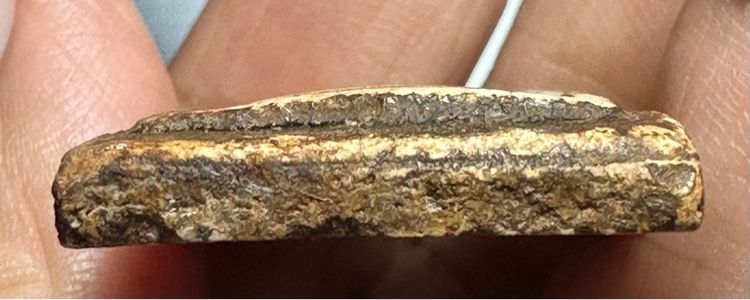 พระสมเด็จวัดเกษไชโย กรุวัดโพธิ์เกรียบ ปี 2490🙏พระสมเด็จวัดเกศพิมพ์หกชั้นอกร่อง ผิวเคลือบยาีงไม้ องค์ละ1000 รูปที่ 12