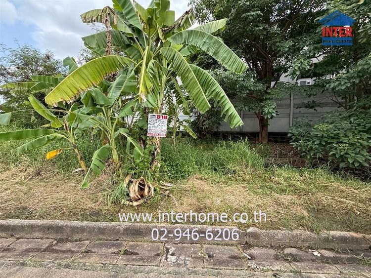 ไม่ใช่ ที่ดินเปล่า 231 ตร.ว. หมู่บ้านวิลด์มิลล์ ซอยนอร์ท4 ถนนบางนา-ตราด ถนนกิ่งแก้ว บางพลี สมุทรปราการ รูปที่ 4