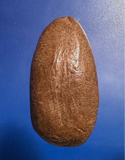 🙏พระรอดลำพูน เนื้อเขียวคราบดำ🙏พระอัครสาวก เนื้อดิน ล.พ.เชย วัดท่าควาย🙏พระรอดเศียรโล้นลำพูน องค์ละ1000 รูปที่ 12