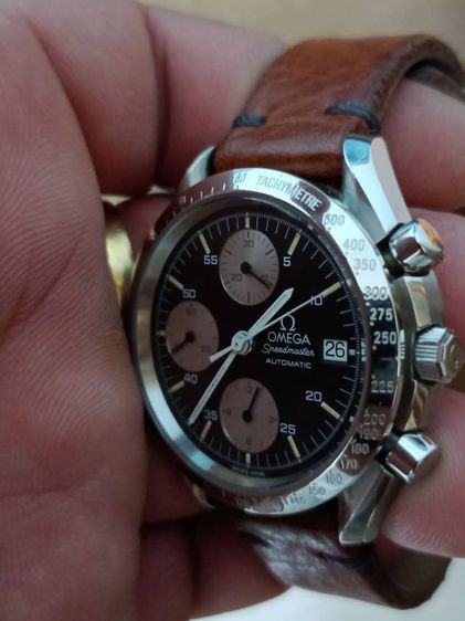 Omega ( omega speed แพนด้า) รูปที่ 15