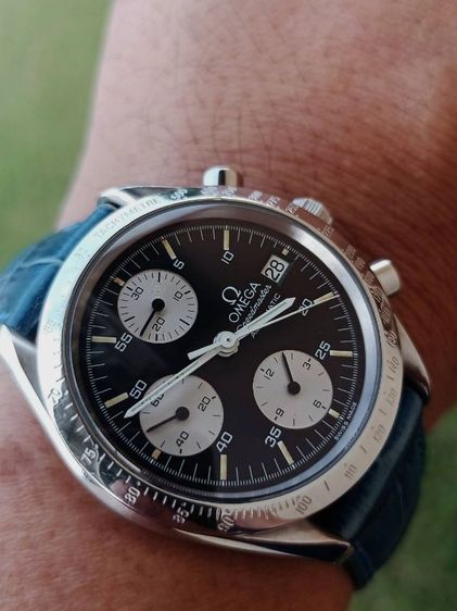 Omega ( omega speed แพนด้า) รูปที่ 10