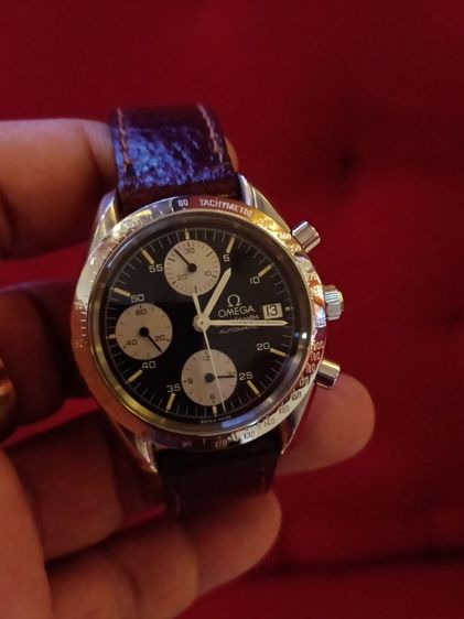 Omega ( omega speed แพนด้า) รูปที่ 6
