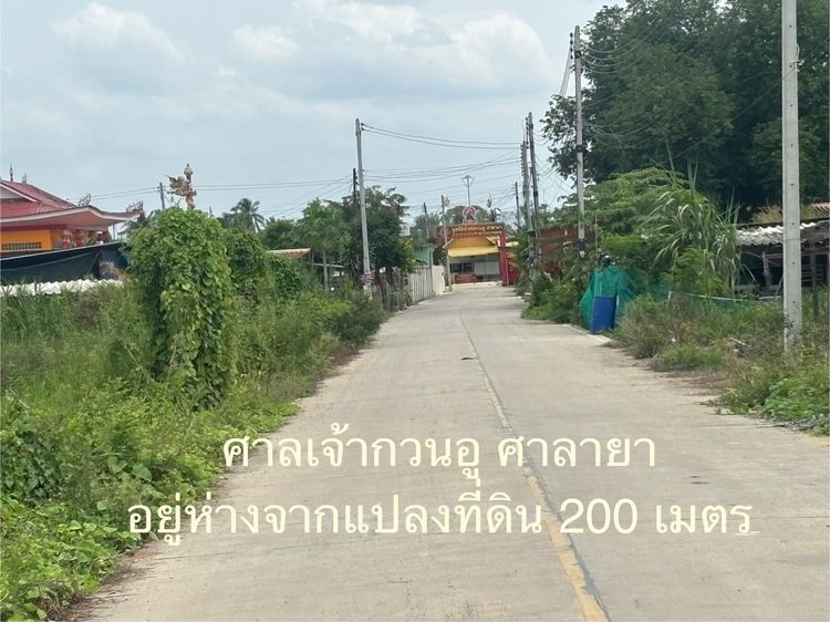 ให้เช่าที่ดินซอยยิ่งเจริญ มหาสวัสดิ์4 ต.มหามวัสดิ์ อ.พุทธมณฑล จ.นครปฐม รูปที่ 3