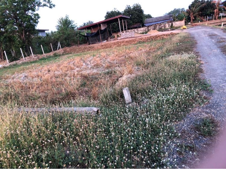 ขายที่ดิน ใกล้อนุสรณ์นเรศวร รูปที่ 3