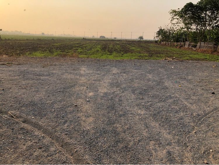 ขายที่ดิน ใกล้อนุสรณ์นเรศวร รูปที่ 2