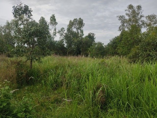 ขายที่ดินเปล่า 2 แปลงเงียบ..บรรยากาศลูกทุ่งๆ รูปที่ 4