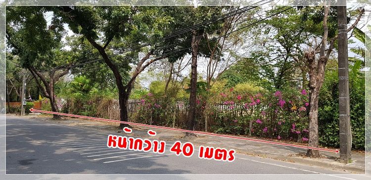 ไม่ใช่ ขายที่ดิน หมู่บ้านนวธานี ด้านหน้าติดถนนเมน ด้านหลังติดสนามกอล์ฟ รูปที่ 3