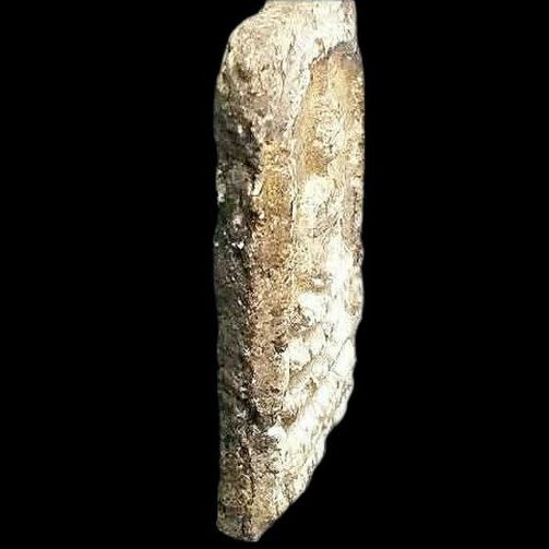 อกกระบอก. รูปที่ 3