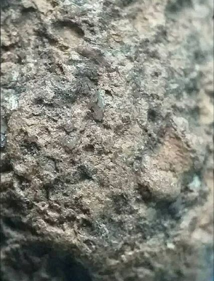 ถ้ำเสือ กรุเขาดีสลัก. รูปที่ 13