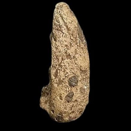 ถ้ำเสือ กรุเขาดีสลัก. รูปที่ 5