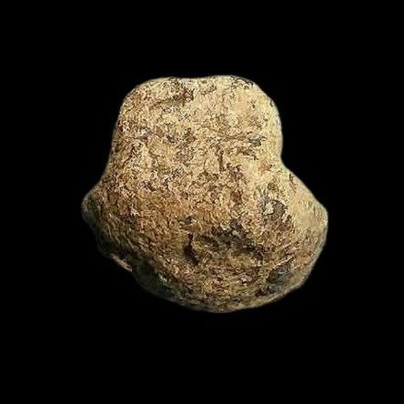 ถ้ำเสือ กรุเขาดีสลัก. รูปที่ 6