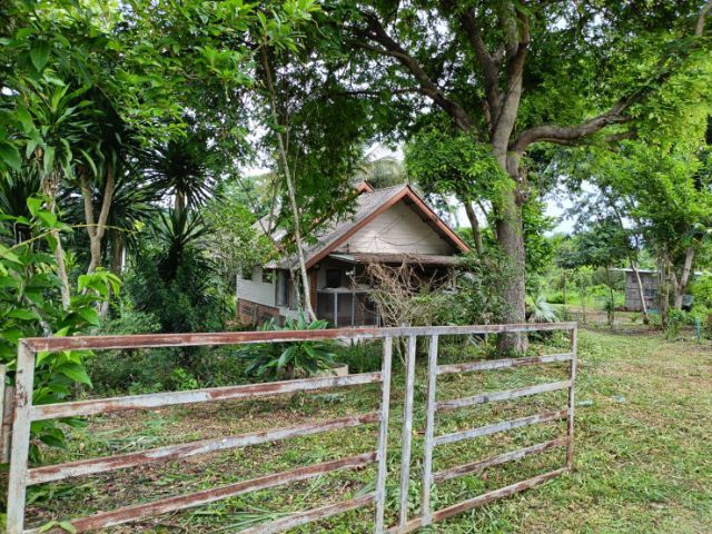 มีบางส่วน 2010 ขายสวนทุเรียนป่าละอูพร้อมบ้าน4ไร่1งานติดแม่น้ำปราณบุรี รูปที่ 2