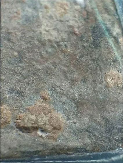 ท่ามะปราง กรุพิษณุโลก. รูปที่ 13