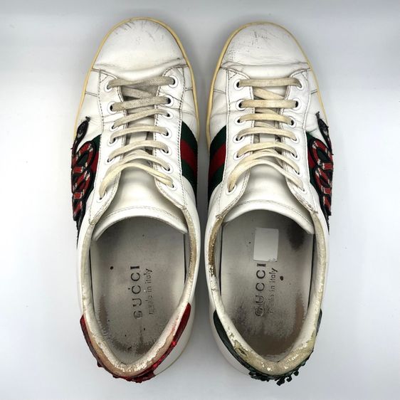 Gucci Sneaker size 8.5  รูปที่ 7