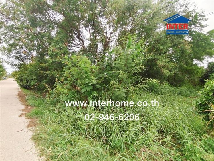 ไม่ใช่ ที่ดินเปล่า 200 ตร.ว. ที่ดินเปล่า ใกล้โรงพยาบาลสนามท่าจีน ถนนพระราม2 ถนนคลองตาพ่วง เมืองสมุทรสาคร สมุทรสาคร รูปที่ 4