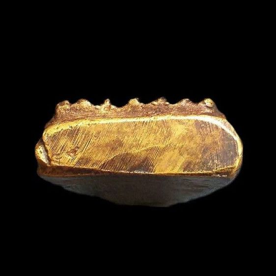 หลวงปู่ทวด ปี05. รูปที่ 3