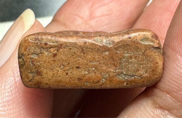 🙏พระกำแพงซุ้มกอพิมพ์กลาง🙏พระนางแขนอ่อน กรุสูงสุโขทัย พระมีปีก ผ่านการบูชา🙏พระผงวันสามปลื้ม องค์ละ1550 รูปที่ 6