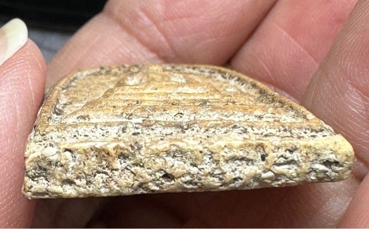 🙏พระสมเด็จพิมพ์ทรงเจดีย์🙏พระสมเด็จพิมพ์ใหญ่เนื้อดี🙏พระสมเด็จเนื้อจัดเจ้าของเดิม ฝนขอบเข้าตลับ  องค์ละ1000 รูปที่ 5