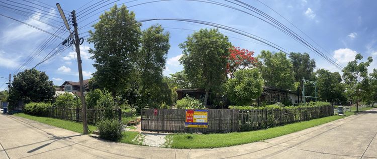 💖 ที่ดิน เมืองปทุมธานี ราคาพิเศษ! 💖