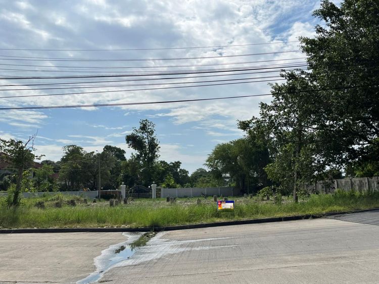 💖 ที่ดิน บางพลี ราคาพิเศษ! 💖