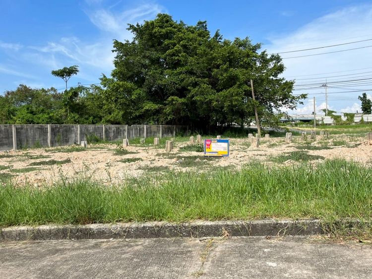 💖 ที่ดิน บางพลี ราคาพิเศษ! 💖