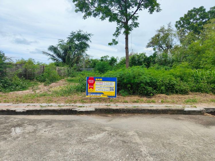 💖 ที่ดิน บางพลี ราคาพิเศษ! 💖