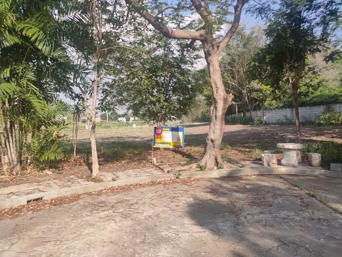 💖 ที่ดิน บางพลี ราคาพิเศษ! 💖