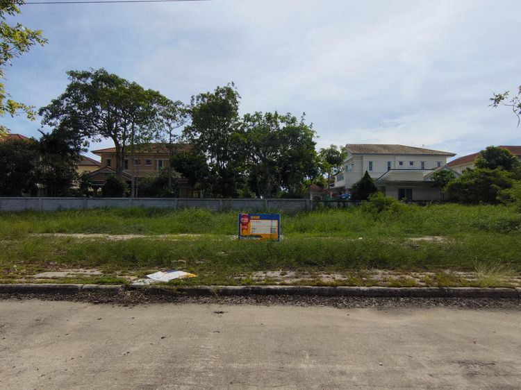 💖 ที่ดิน บางพลี ราคาพิเศษ! 💖