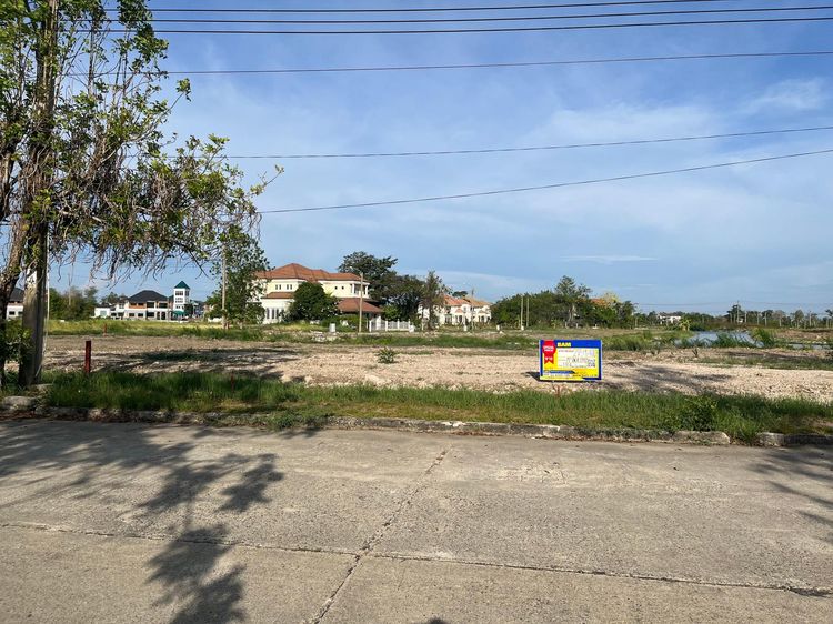 💖 ที่ดิน บางพลี ราคาพิเศษ! 💖