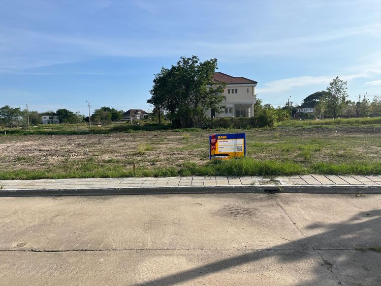 💖 ที่ดิน บางพลี ราคาพิเศษ! 💖