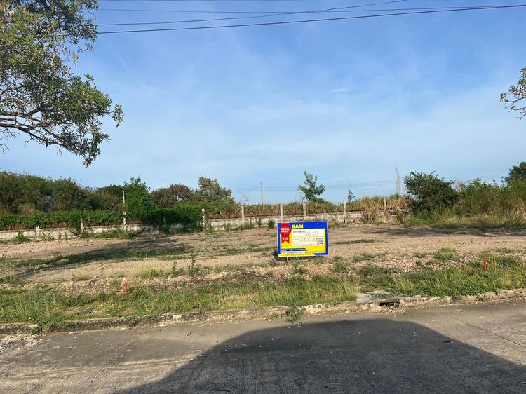 💖 ที่ดิน บางพลี ราคาพิเศษ! 💖