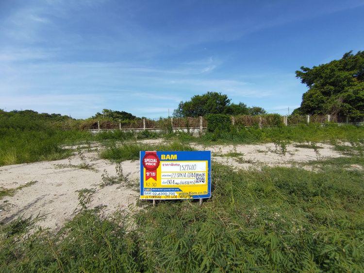 💖 ที่ดิน บางพลี ราคาพิเศษ! 💖