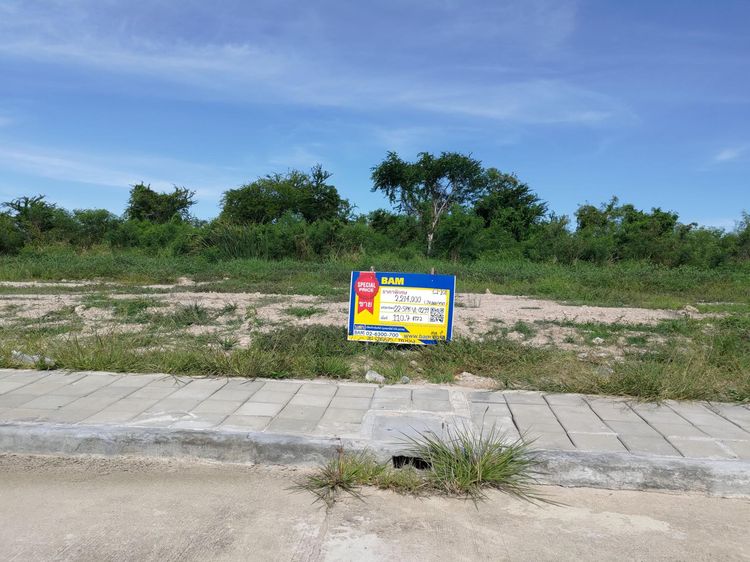 💖 ที่ดิน บางพลี ราคาพิเศษ! 💖