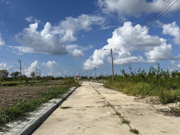 ใช่ 💖 ที่ดิน บางพลี ราคาพิเศษ! 💖 รูปที่ 4