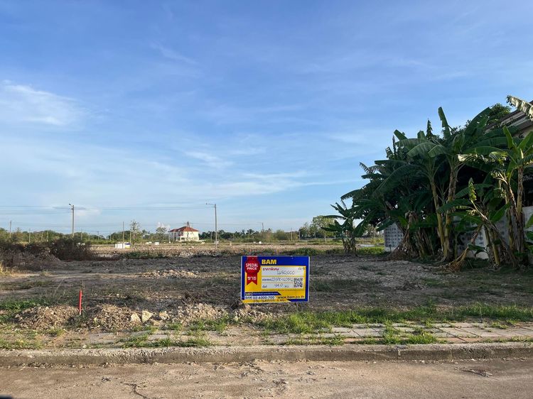 💖 ที่ดิน บางพลี ราคาพิเศษ! 💖