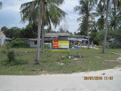 💖 ที่ดิน ตากใบ ราคาพิเศษ! 💖