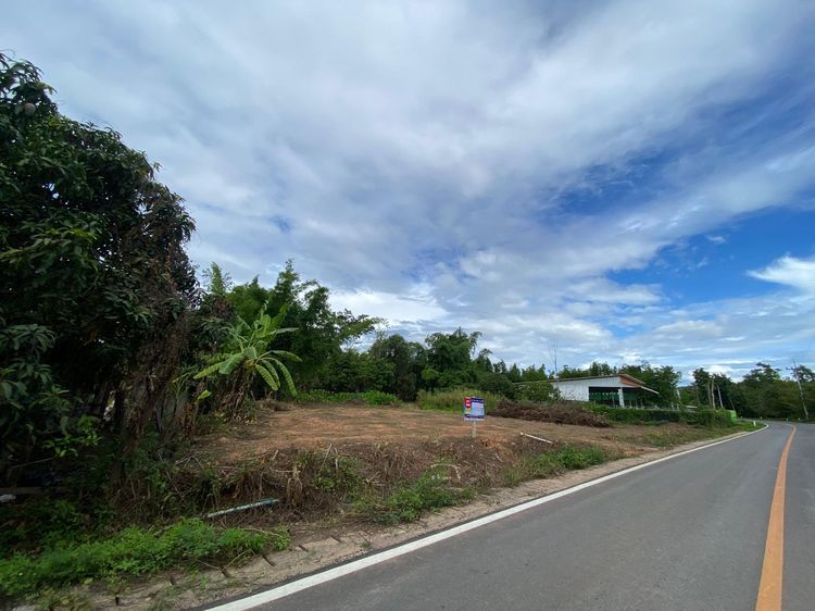 ใช่ 💖 ที่ดิน ลี้ ราคาพิเศษ! 💖 รูปที่ 4